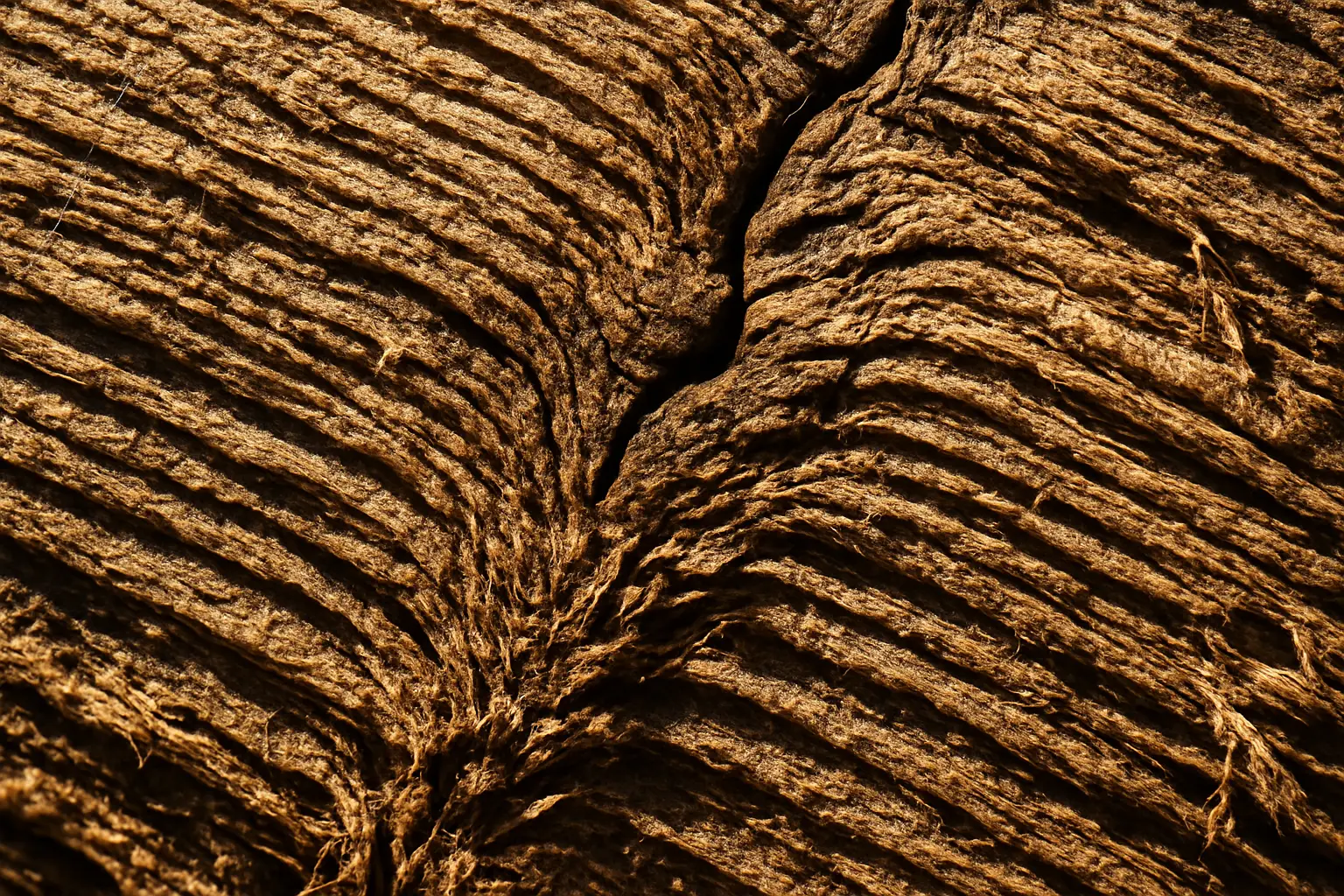 Clinical environment evoking the need for careful cardiac assessment around ibogaine use
