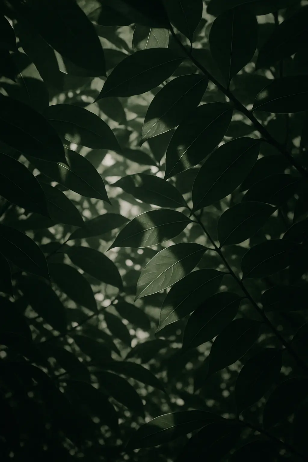 Abstract visual composition accompanying a careful discussion of uncertainty in ibogaine research