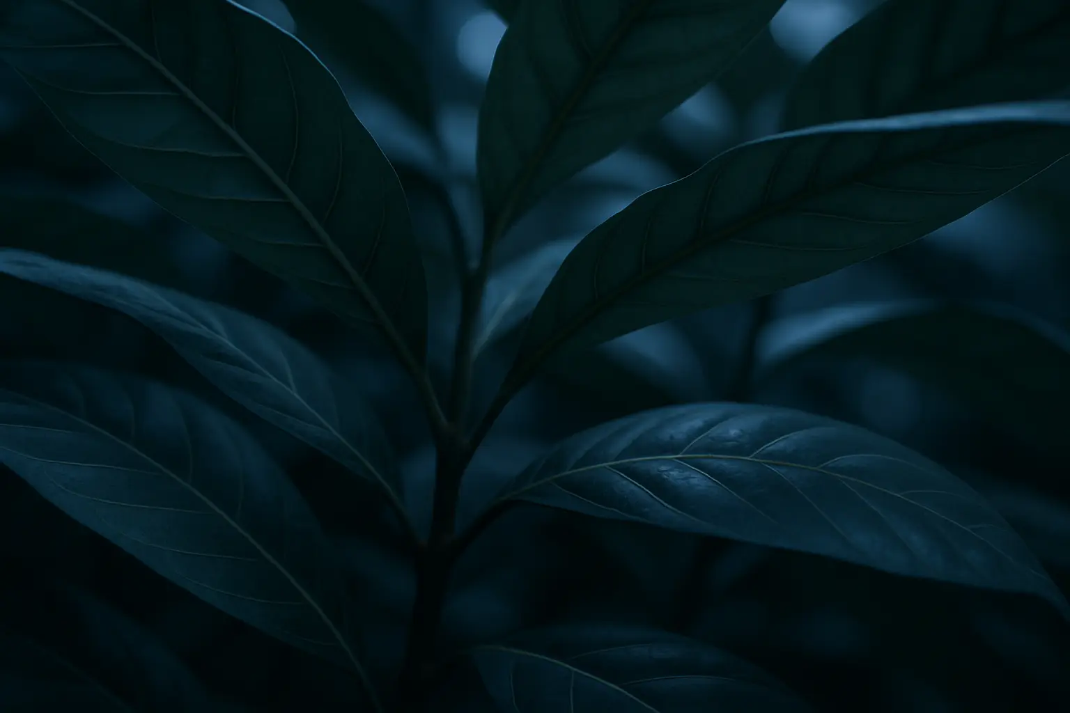 Close-up environment suggesting careful review of ibogaine treatment details
