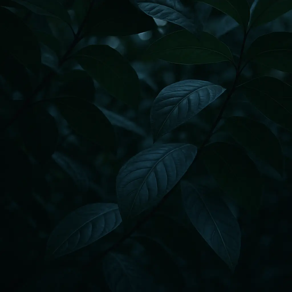 Tropical leaves framed as a visual pause within the cardiac safety discussion