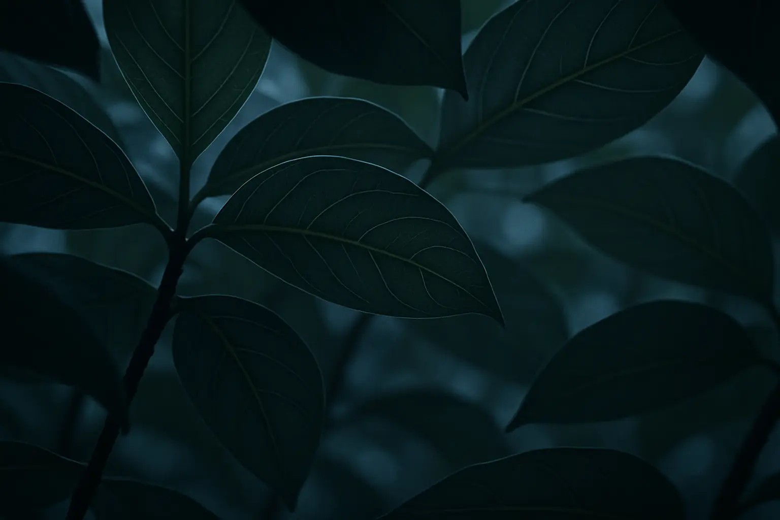 Close botanical detail accompanying the discussion of iboga and its active alkaloid